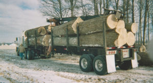 Timber6