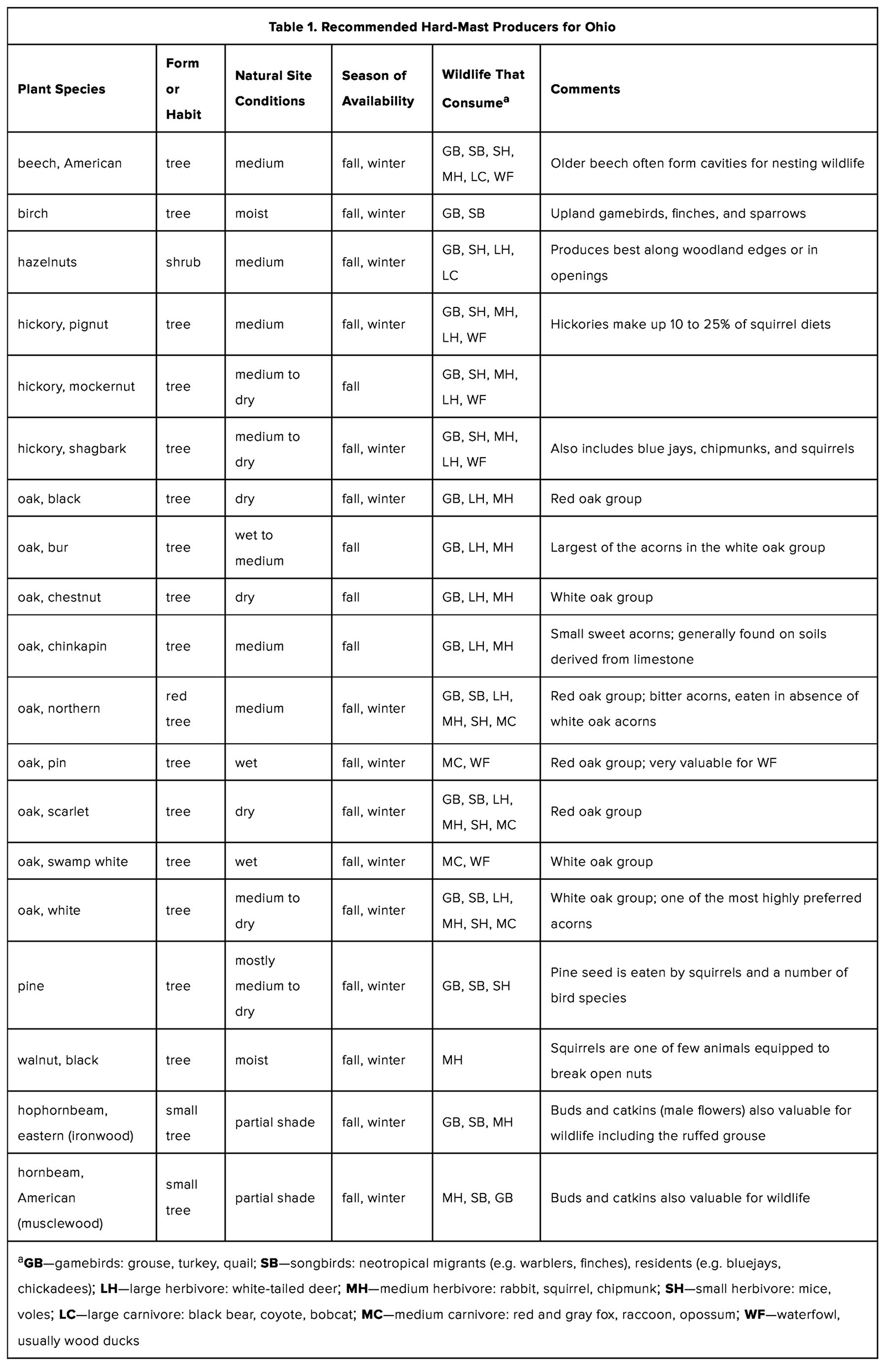 Types Of Acorns Chart
